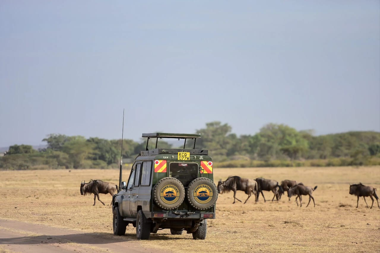 7 Days Kenya Classic Safari – Masai Mara, Nakuru, Naivasha & Amboseli